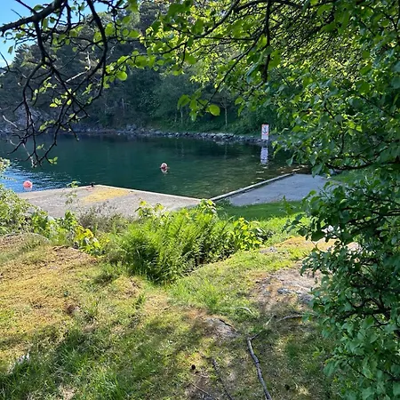 With High Standard *